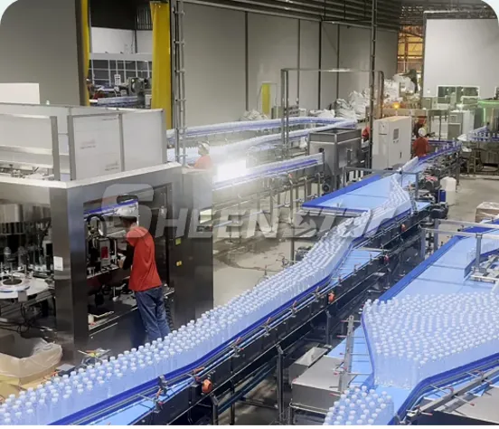 Conveyor System